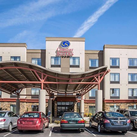 Comfort Suites New Bern Near Cherry Point Exterior photo